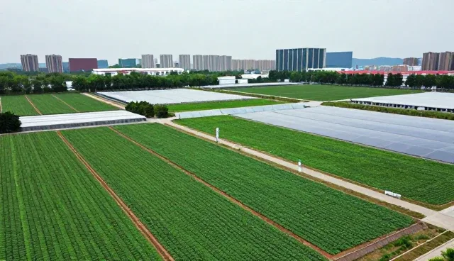 技术趋势下企业选型的三大核心关注点